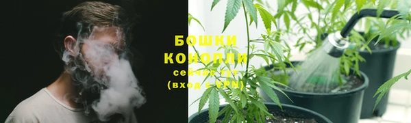 spice Волосово
